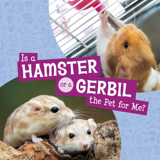 Cover for Mari Schuh · Is a Hamster or a Gerbil the Pet for Me? - This or That Pets (Hardcover Book) (2025)