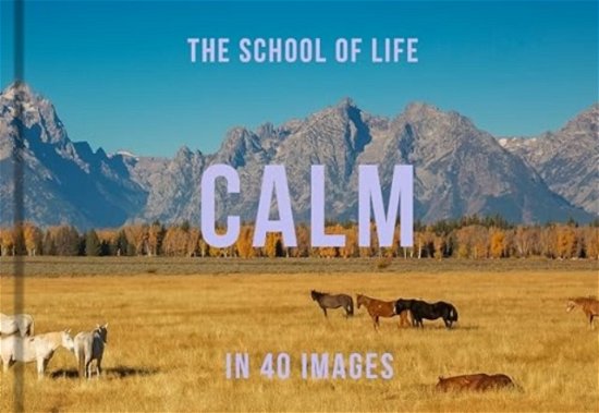 Cover for The School of Life · Calm in 40 Images: The art of finding serenity (Hardcover Book) (2024)