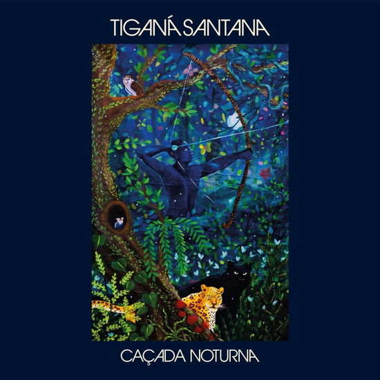 Cover for LP · Lp-tigana Santana-cacada Noturna (LP) (2024)