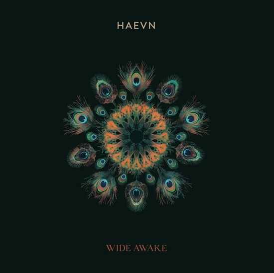 Cover for Haevn · Wide Awake (CD) [Digipak] (2024)