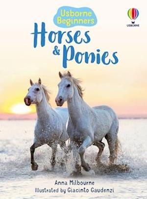 Cover for Anna Milbourne · Horses And Ponies (Book) (2024)