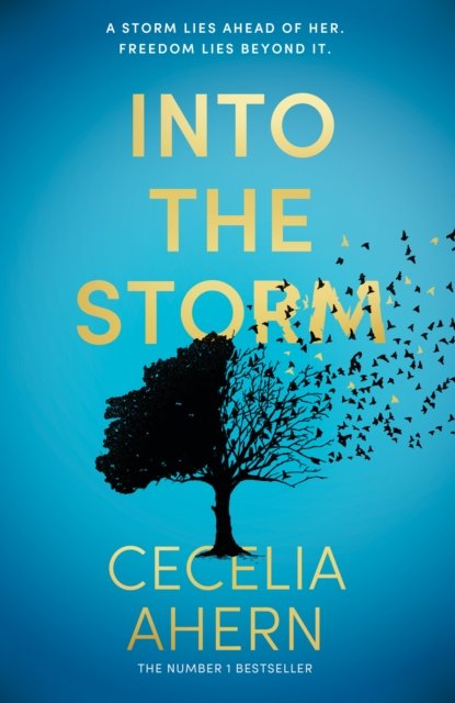Cover for Cecelia Ahern · Into the Storm (Hardcover Book) (2024)