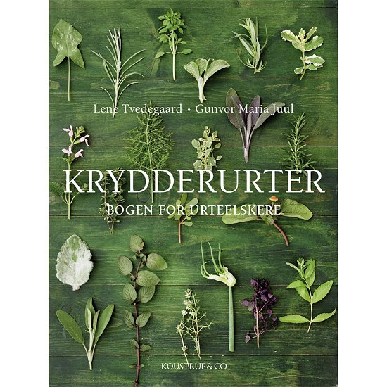 Cover for Lene Tvedegaard &amp; Gunvor Maria Juul · Krydderurter (Indbundet Bog) [3. udgave] (2024)