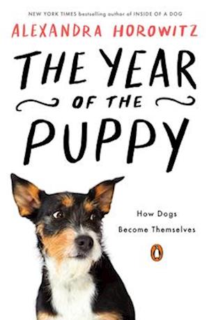 Cover for Alexandra Horowitz · The Year Of The Puppy (Book) (2024)