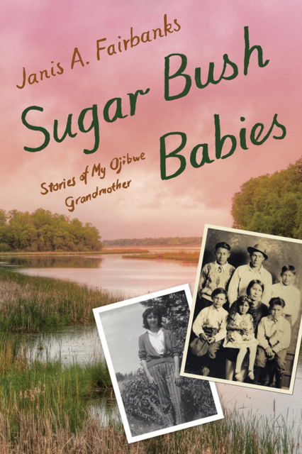 Cover for Janis A. Fairbanks · Sugar Bush Babies: Stories of My Ojibwe Grandmother (Gebundenes Buch) (2025)
