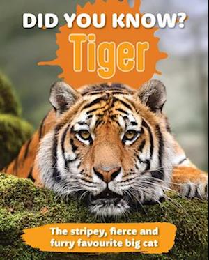 Cover for Did You Know Tiger?: The stripey, fierce and furry favourite big cat (Innbunden bok) (2025)