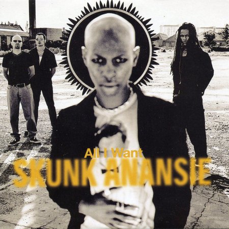 Cover for Skunk Anansie · Skunk Anansie-all I Want (CD) [Limited edition]