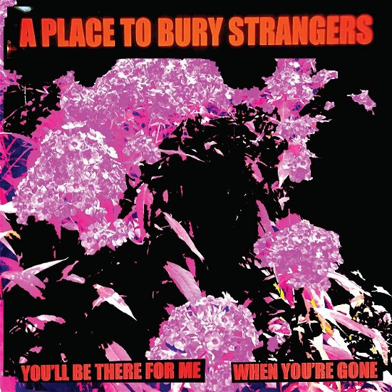 Cover for A Place To Bury Strangers · You'll Be There For Me/When You're Gone (LP) (2024)