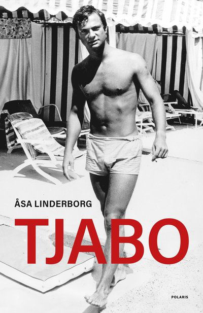 Cover for Åsa Linderborg · Ny bok Åsa Linderborg (Inbunden Bok) (2025)