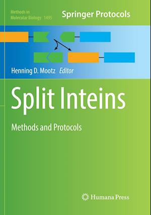 Split Inteins: Methods and Protocols - Methods in Molecular Biology - - Kirjat - Humana Press Inc. - 9781493982042 - lauantai 7. heinäkuuta 2018