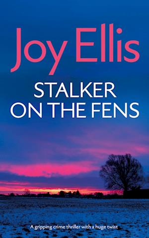 Cover for Joy Ellis · STALKER ON THE FENS a gripping crime thriller with a huge twist - Detective Nikki Galena Mysteries (Paperback Book) (2024)