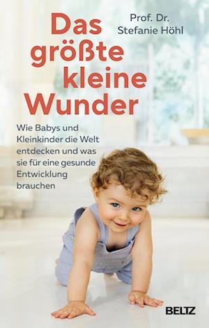 Cover for Stefanie Höhl · Das größte kleine Wunder (Book) (2025)