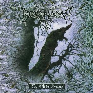 Cover for Borknagar · Olden Domain (LP) (2025)