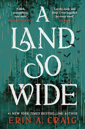 Cover for Erin A. Craig · A Land So Wide: A breathtaking, deliciously dark fairy tale from #1 New York Times and USA Today bestselling author Erin A. Craig (Pocketbok) (2025)