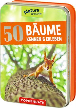 Cover for Stefanie Zysk · 50 Bäume kennen &amp; erleben (Book) (2025)