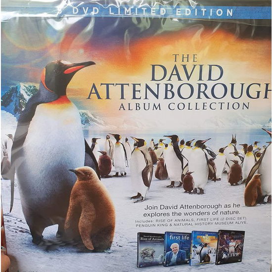 Cover for David Attenborough The Album Collection (DVD) (2024)