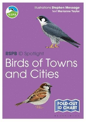Cover for Marianne Taylor · RSPB ID Spotlight - Birds of Towns and Cities - RSPB (Map) (2025)