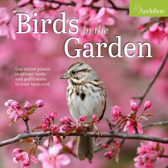 National Audubon Society · Audubon Birds in the Garden Wall Calendar 2025: Use Native Plants to Attract Birds and Pollinators to Your Backyard (Kalender) (2024)