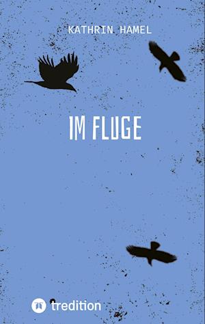 Cover for Kathrin Hamel · Im Fluge (Paperback Book) (2021)
