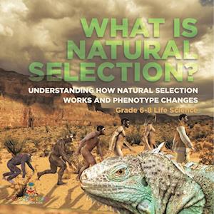 Cover for Baby Professor · What Is Natural Selection? Understanding How Natural Selection Works and Phenotype Changes Grade 6-8 Life Science (Book) (2024)