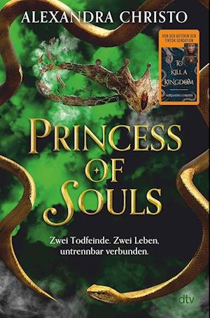 Cover for Alexandra Christo · Princess of Souls (Bok) (2024)
