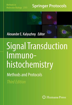 Signal Transduction Immunohistochemistry: Methods and Protocols - Methods in Molecular Biology -  - Books - Springer-Verlag New York Inc. - 9781071628102 - December 14, 2022