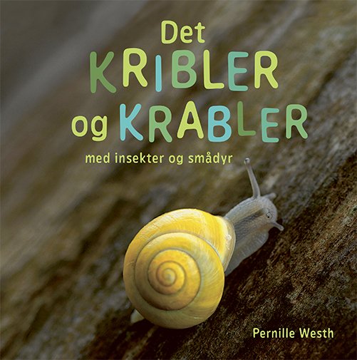 Cover for Pernille Westh · Det kribler og krabler med insekter og smådyr (Bound Book) [1º edição] (2024)