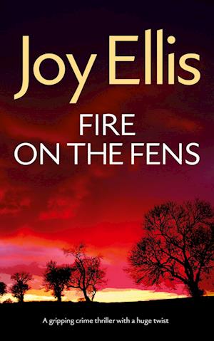 Cover for Joy Ellis · FIRE ON THE FENS a gripping crime thriller with a huge twist - Detective Nikki Galena Mysteries (Paperback Book) (2024)