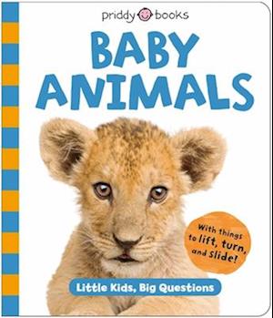 Cover for Roger Priddy · Baby Animals (Little Kids, Big Questions) (Book) (2025)