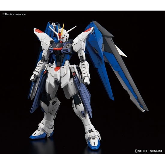 Cover for Gundam · Mg Freedom Gundam Ver 2.0 1/100 - Model K (Toys)