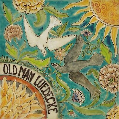 Old Man Luedecke · She Told Me Where to Go (Spring Green Vinyl) (LP) (2024)