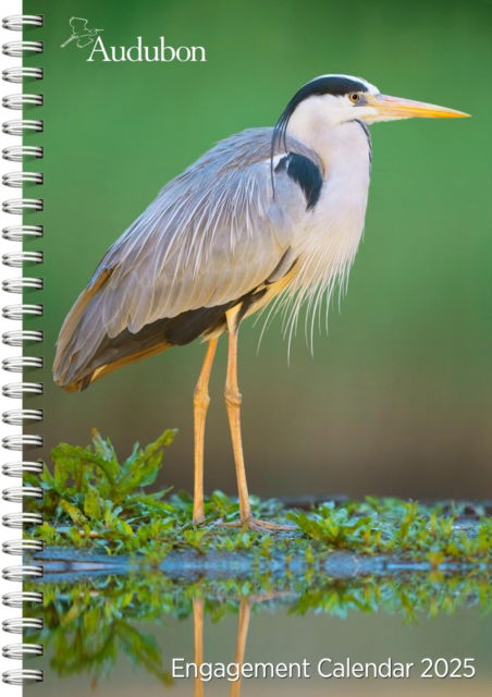 National Audubon Society · Audubon Engagement Calendar 2025: A Tribute to the Wilderness and Its Spectacular Landscapes (Calendar) (2024)
