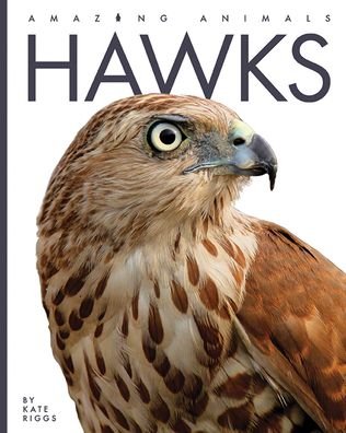 Cover for Kate Riggs · Hawks (Bog) (2022)