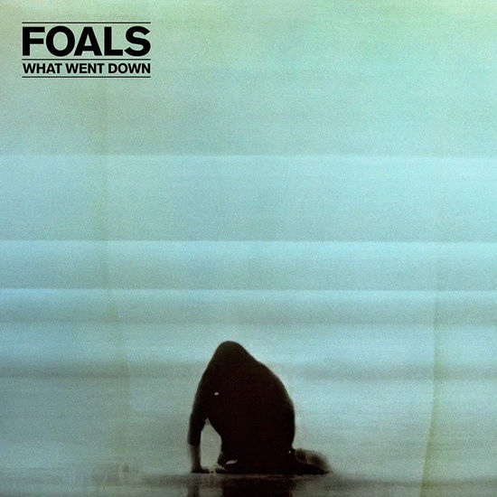 Cover for Foals · What Went Down (LP) by Foals (LP) (2025)