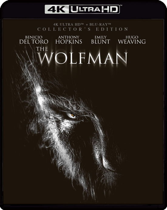 Cover for Wolfman (4K Ultra HD/BD) (2024)