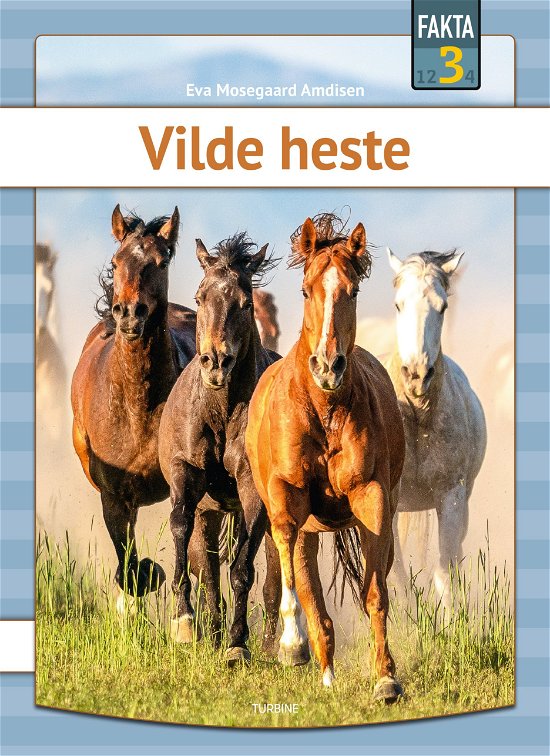Cover for Eva Mosegaard Amdisen · Fakta 3: Vilde heste (Hardcover Book) [1. Painos] (2024)