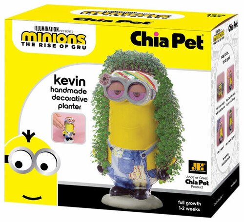 Cover for Neca · Chia Pet Minions the Rise of Gru Kevin (MERCH) (2024)
