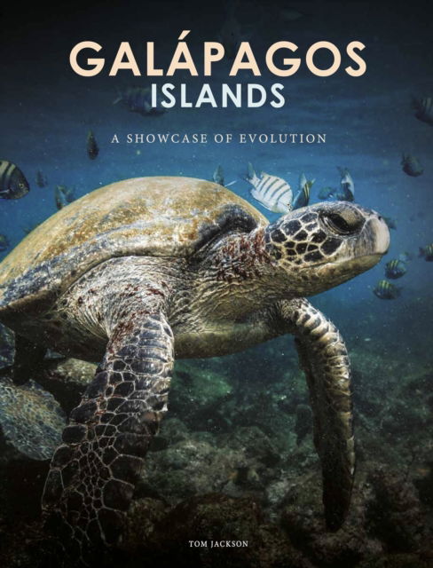 Cover for Tom Jackson · Galapagos Islands: A Showcase of Evolution - Travel (Hardcover Book) (2025)