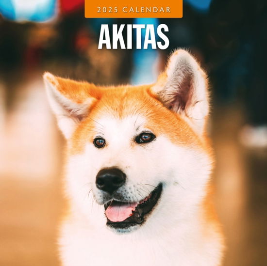 Cover for Red Robin · Akitas 2025 Square Wall Calendar (Paperback Book) (2024)