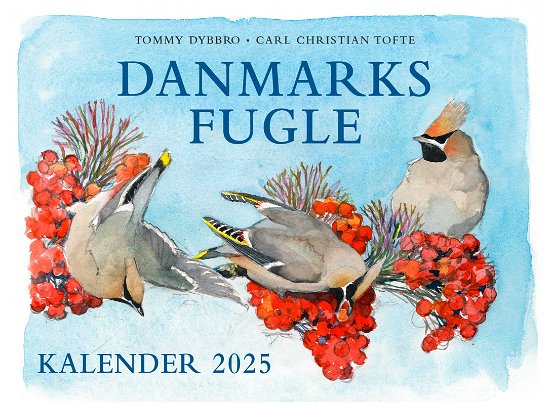 Cover for Carl Christian Tofte; Tommy Dybbro · Danmarks fugle - kalender 2025 (Innbunden bok) [1. utgave] (2024)