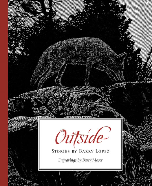 Cover for Barry Lopez · Outside: Stories by Barry Lopez (Pocketbok) (2025)