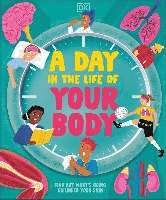 Cover for Dk · A Day in the Life of Your Body: Find Out What's Going on Under Your Skin (Inbunden Bok) (2025)