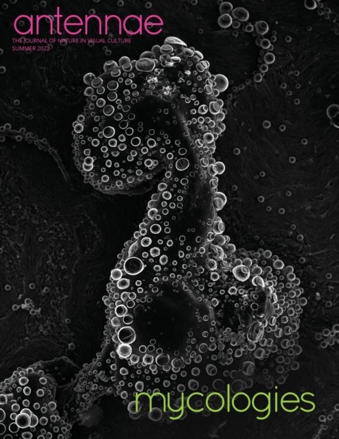 Cover for Merlin Sheldrake · Antennae #58 Mycologies (Paperback Book) (2022)