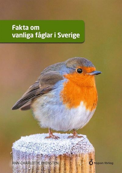 Cover for Ann-Charlotte Ekensten · Fakta om vanliga fåglar i Sverige (Hardcover Book) [Ned edition] (2025)