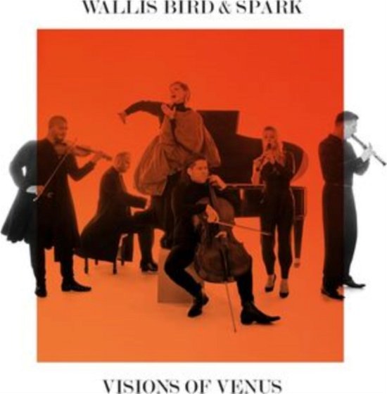 Cover for Wallis Bird / Spark · Visions Of Venus (LP) (2024)