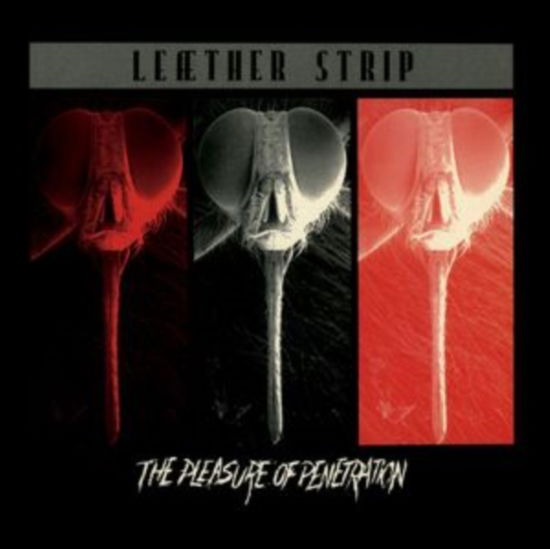 Cover for Leaether Strip · The Pleasure Of Penetration (LP) (2024)