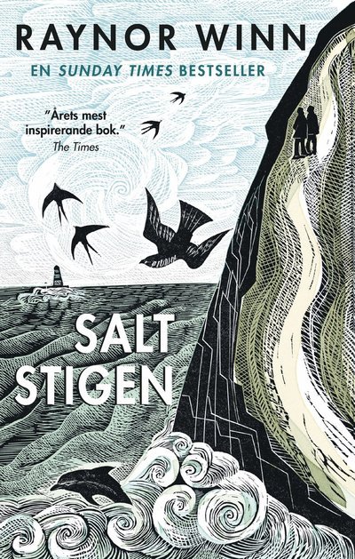 Cover for Raynor Winn · Saltstigen (Pocketbok) (2024)