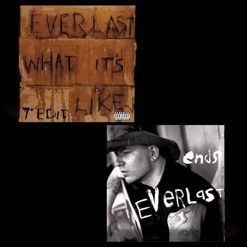 Cover for Everlast · What Its Like / Ends (LP) (2024)