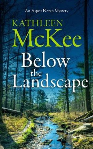 Cover for Kathleen McKee · The Below the Landscape (Paperback Book) (2025)
