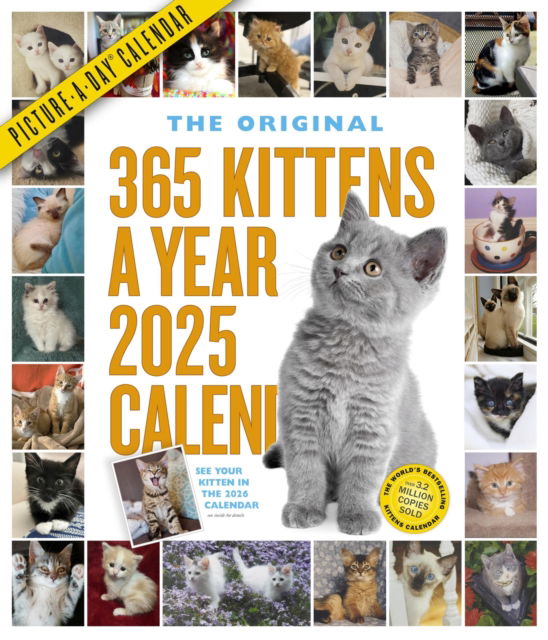 Workman Calendars · 365 Kittens-A-Year Picture-A-Day® Wall Calendar 2025 (Calendar) (2024)